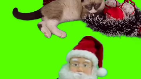 Happy Christmas green screen video