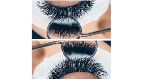 Lashnation, LLC - Lash Extensions in Alexandria, VA