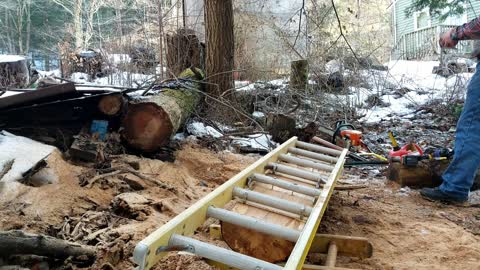 Salvaging and Slabbing Small Spalted Maple Log