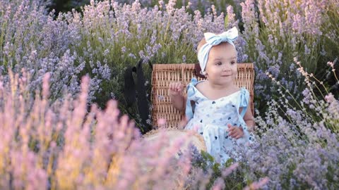 Cute Little Baby Girl Sitting in Lavender Fields