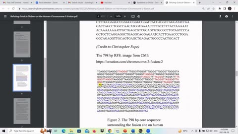 Responding to Gutsick Gibbon's Chromosome 2 Challenges