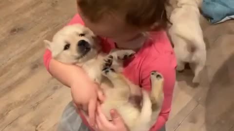 Funny dog and girl