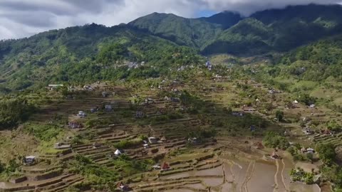 Discover the Hidden Magic of Serene Rice Terraces