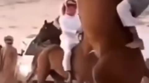 #Funny horse#