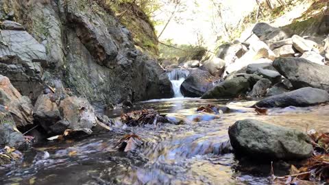 The murmuring of the river 【BGM】【nature】川のせせらぎ 【作業用BGM】【自然】