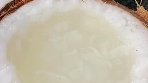 how to eat waxy coconut