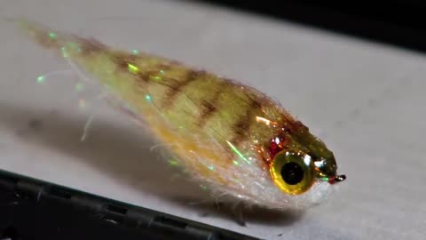 Fat Head Squishy Streamer - UNDERWATER Footage! - Perch streamer fly pattern