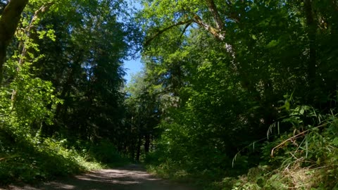 The magnificent Monte Cristo hike