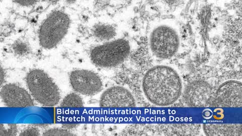 Biden administration plan to stretch monkeypox vaccine doses