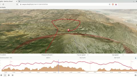 Glider flight 300KM Declared triangle task