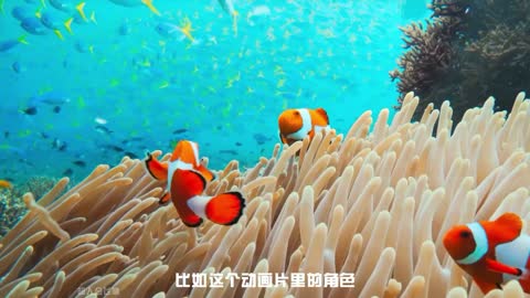 会跳舞的螃蟹！手里竟有秘密武器？动画里的小丑鱼现实原来这么糗