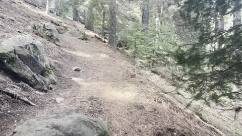 Last Switchback in Forest Before Long Alpine Section – Black Butte Trail – Central Oregon – 4K