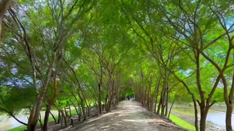 Bangladesh village road view