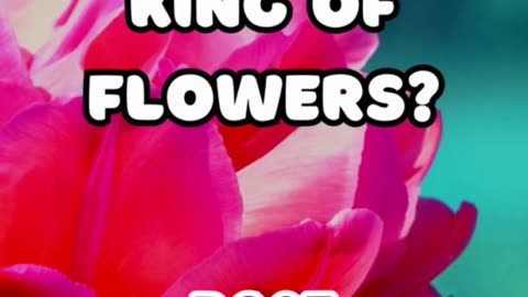 Guess the Name of the King of flowers #guessthename #informative #quiz #flowers