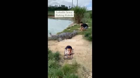 lolodile 🐊 funny dub video 😂 | lolodile sewa | crocodile funny video |