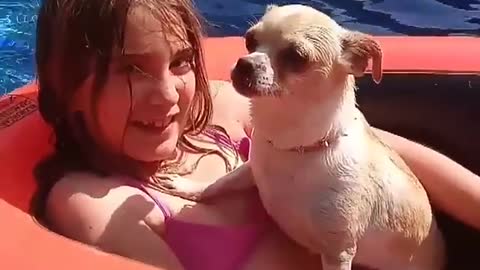 DOgy with His Owner In the Pool