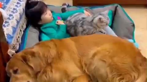 Baby with 🐕 and 🐈