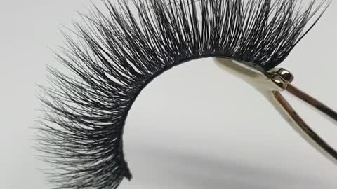 False Eyelash