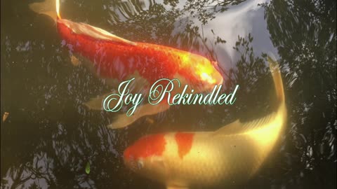 Joy Rekindled - Solo Piano