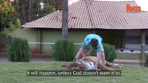 Living With Tigers- Family Share Home With Pet Tigers