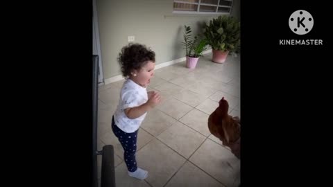 Little Girl Attempts To Pet A Chicken With Hilarious Results