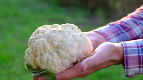 Cooking Butter Cauliflower and Chickpeas