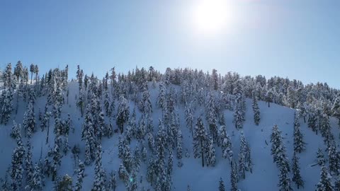 Drone Action! Big Pines Wrightwood Ca