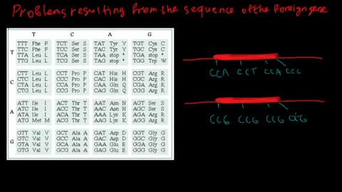 Expression of eukaryotic genes in prokaryotes (bacteria)