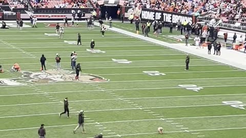 Dog Runs Around Cleveland Stadium