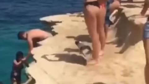 cat directly jumps into water