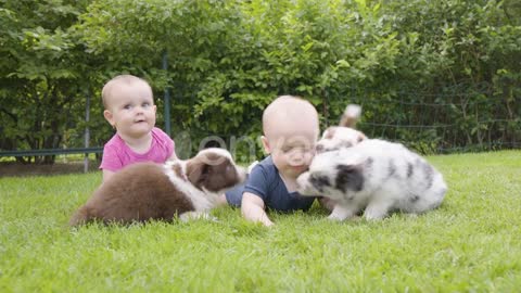 cute cat play with cute baby soo funny vedio