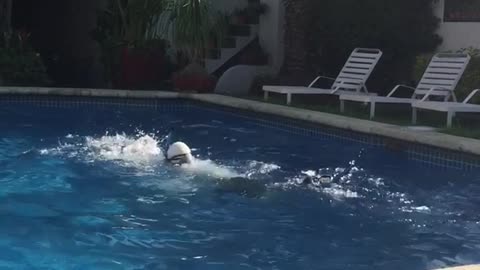 Guy swimming in pool with snorkel and flippers