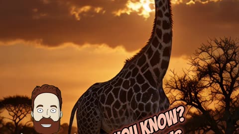 Giraffe's Neck: What Makes It Unique? | #giraffe #funny #viral