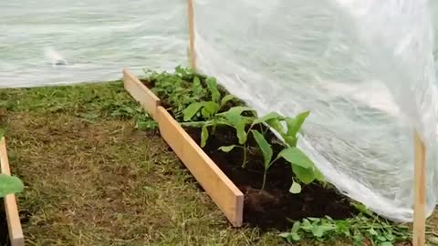 AMAZING GARDEN HACKS & PLANTING IDEAS