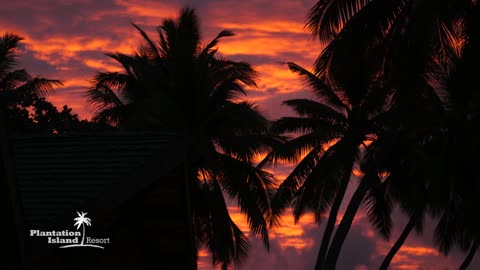 Plantation Island Resort | Mamanuca Islands | Fiji