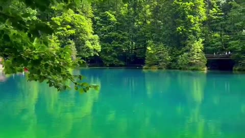 Land of dreams✨ Blausee🇨🇭 🎥