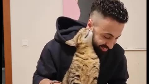 Cat loves owner's piano playing, requests to cuddle with him