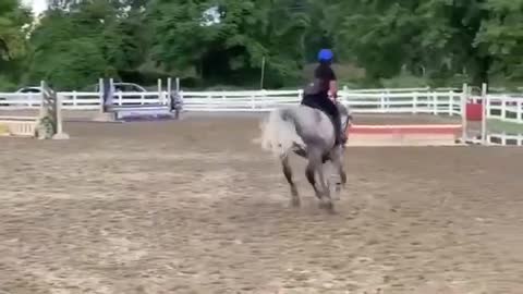 Horse FAILS FALLS 2018 Equi Rider