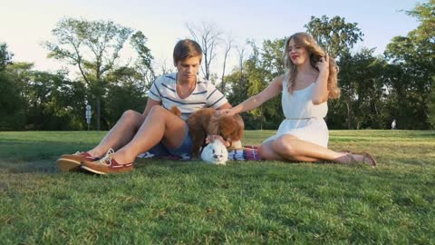 Happy young couple on picnic resting playing with dog and rabbit