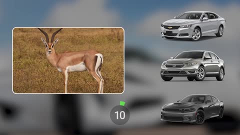 Can You Guess The Car By The Animal (EXTREMELY HARD!) Car Quiz Challenge