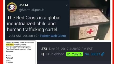 The Red Cross is a global, industrialized child and human trafficking cartel.