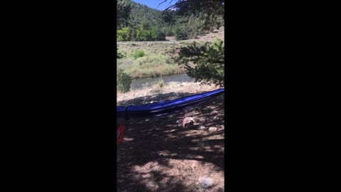 Chilling by the Arkansas River, Salida, Colorado