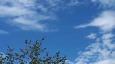 Himmel in Berlin am 8. Juli 2022 um 13:29 Uhr