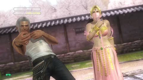 TAG TEAM Brad Wong AND HELENA DEAD OR ALIVE 5 GAMEPLAY