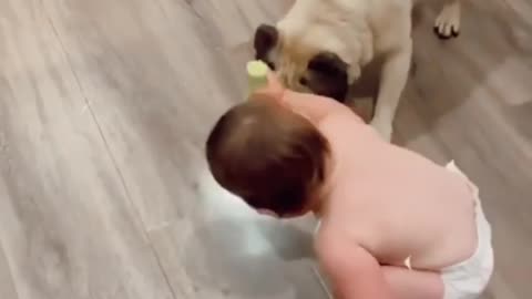 Funnny Kisses Of A Cute Baby With A Dog