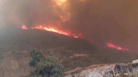 Horrifying wild fire in Latakia, Syria