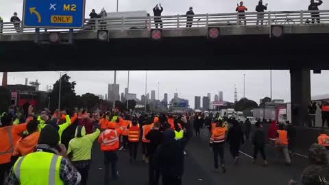 Australian construction workers, shouting “everyday"