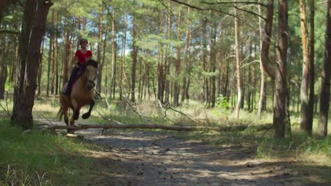 Confident young female jockey in helmet and horse