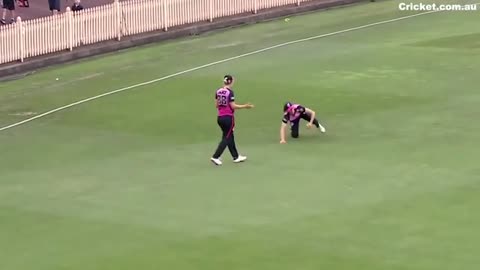 Sydney Sixers star Erin Burns snares a classic catch