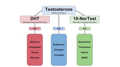 The Vectors Of Sports Performance - DHT Family